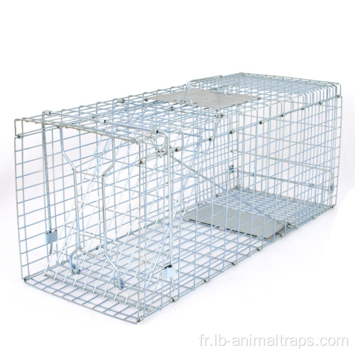 Piège de cage animal vivant humain plié pour les rats